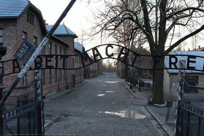 Gallery Photo 06