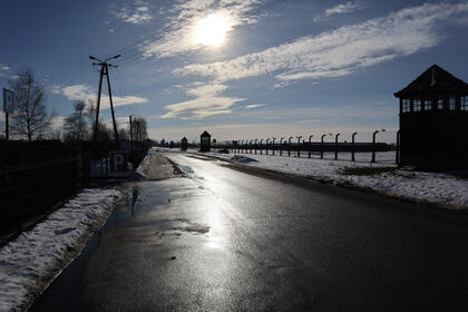 Gallery Photo 08